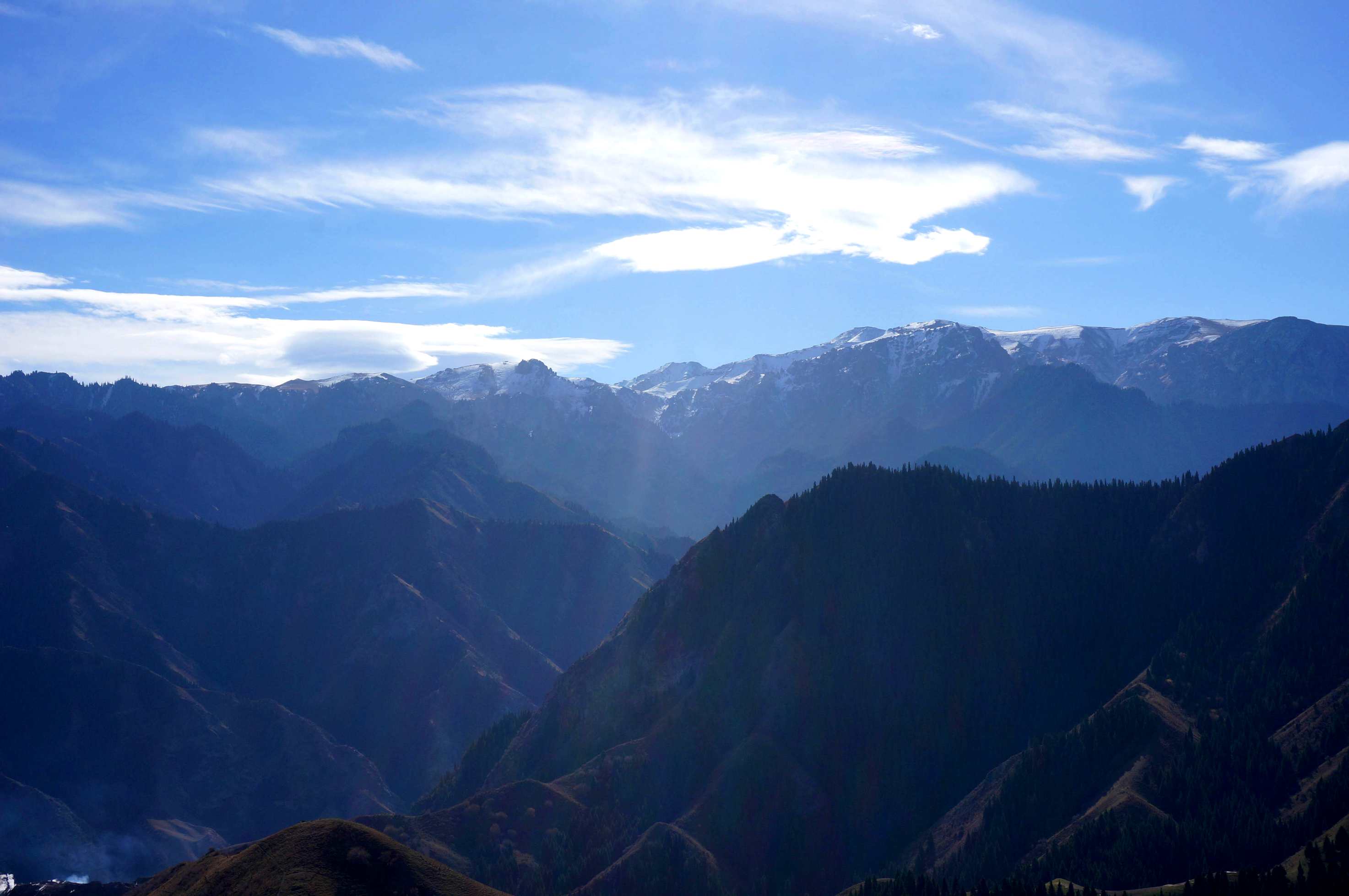 DSC01187 ����_����.jpg