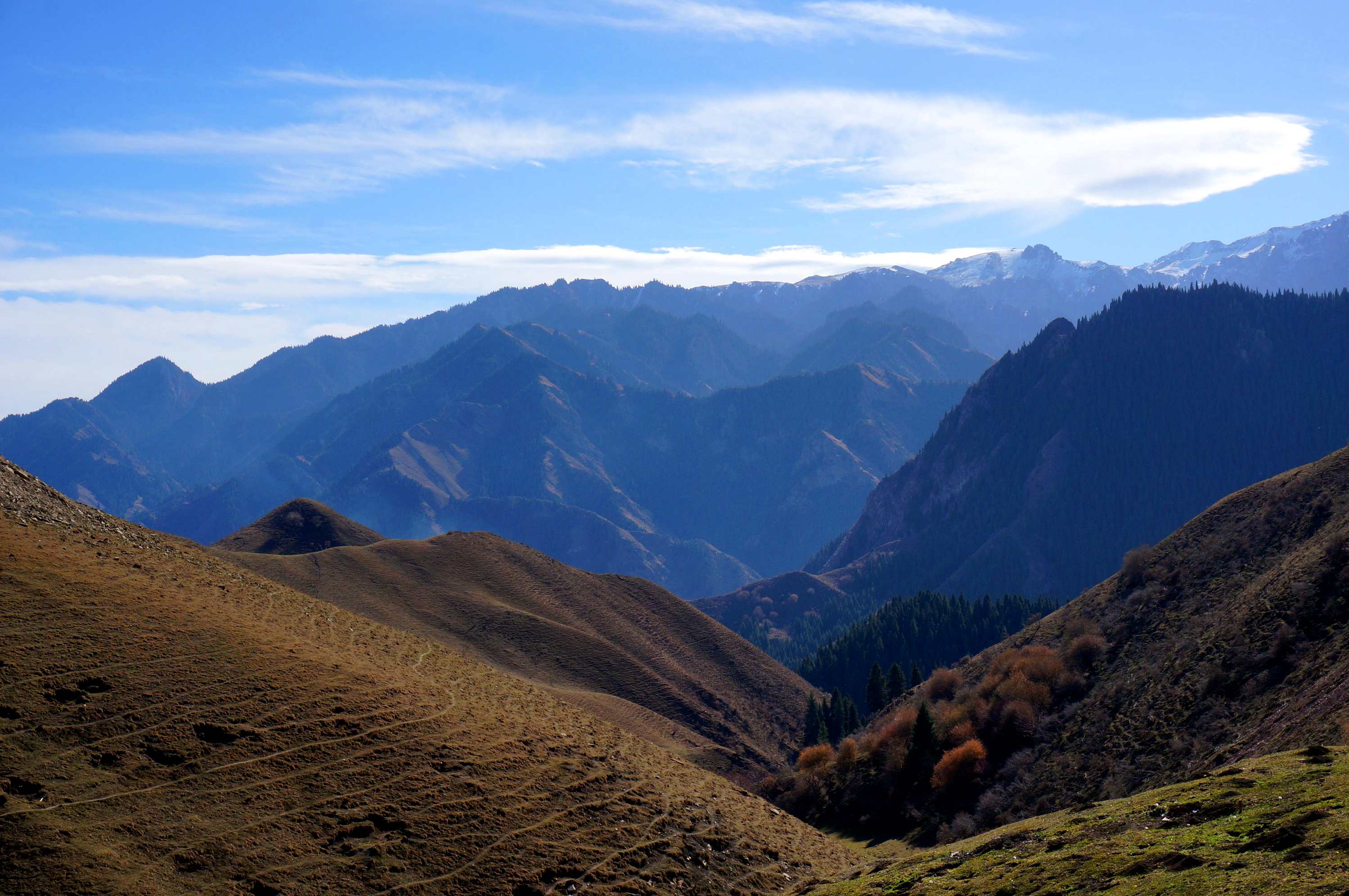 DSC01192 ����_����.jpg