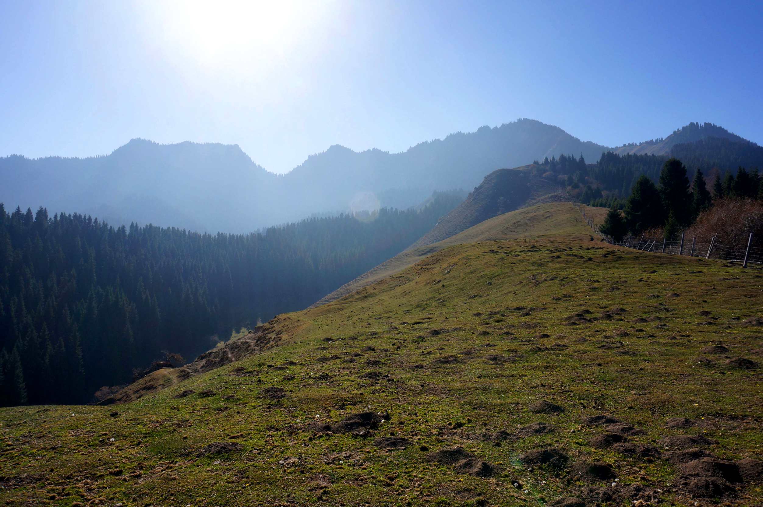 DSC01227 ����_����.jpg