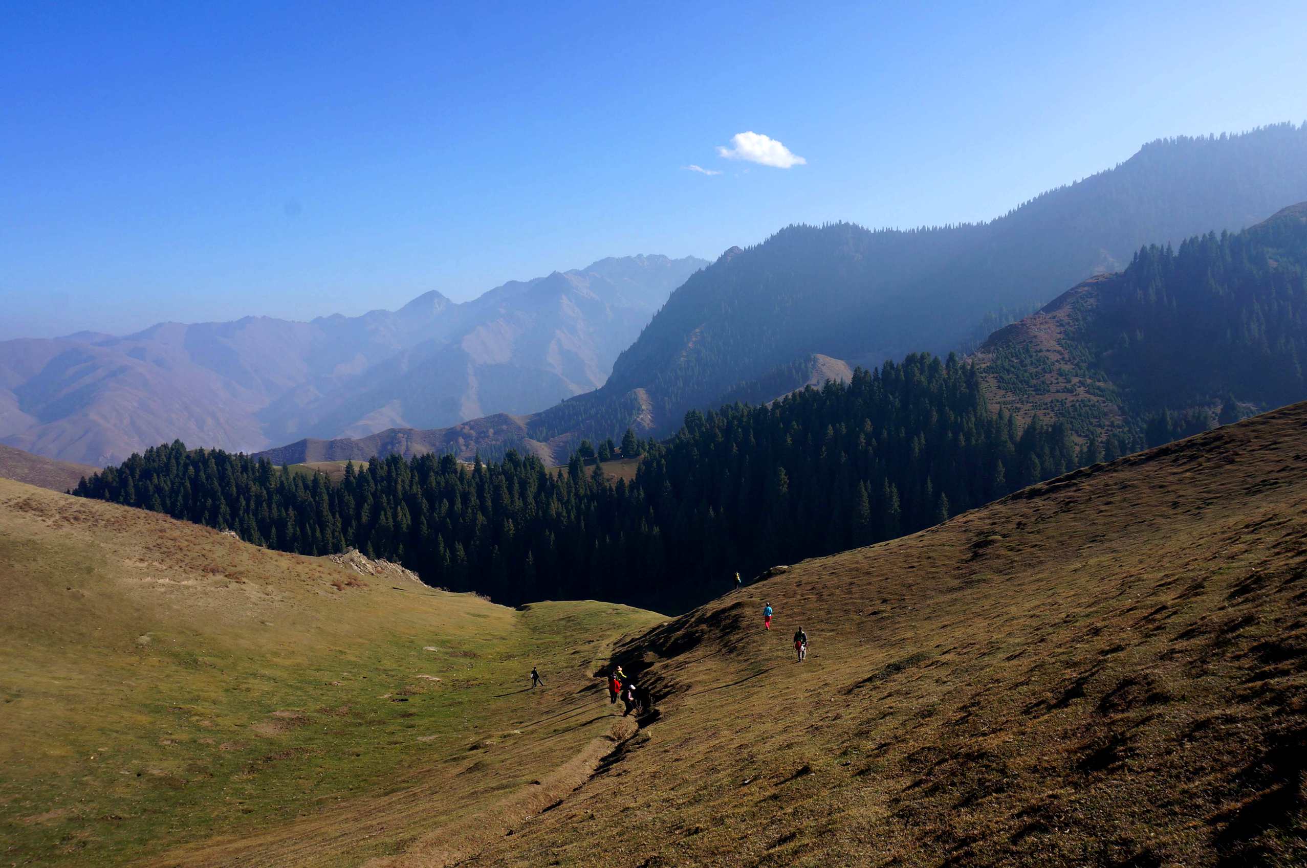 DSC01260 ����_����.jpg