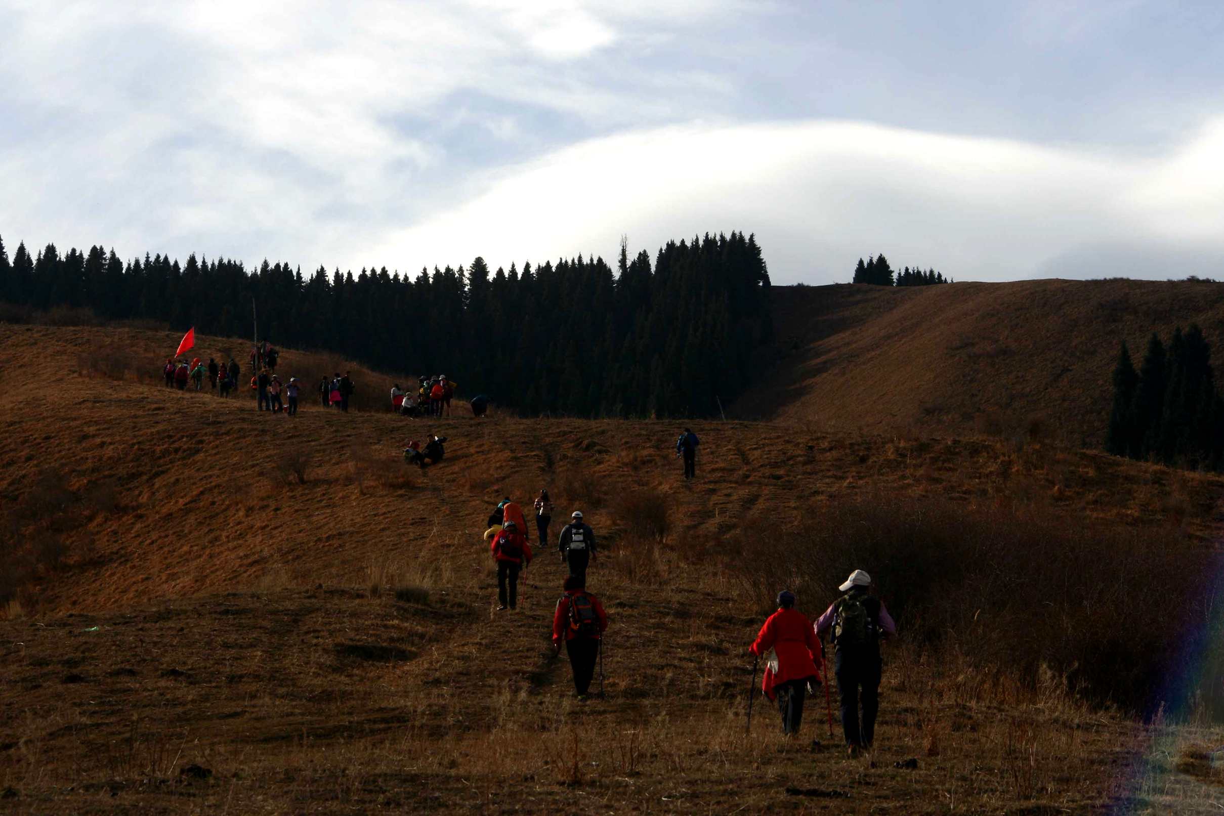 IMG_1390 ����_����.jpg