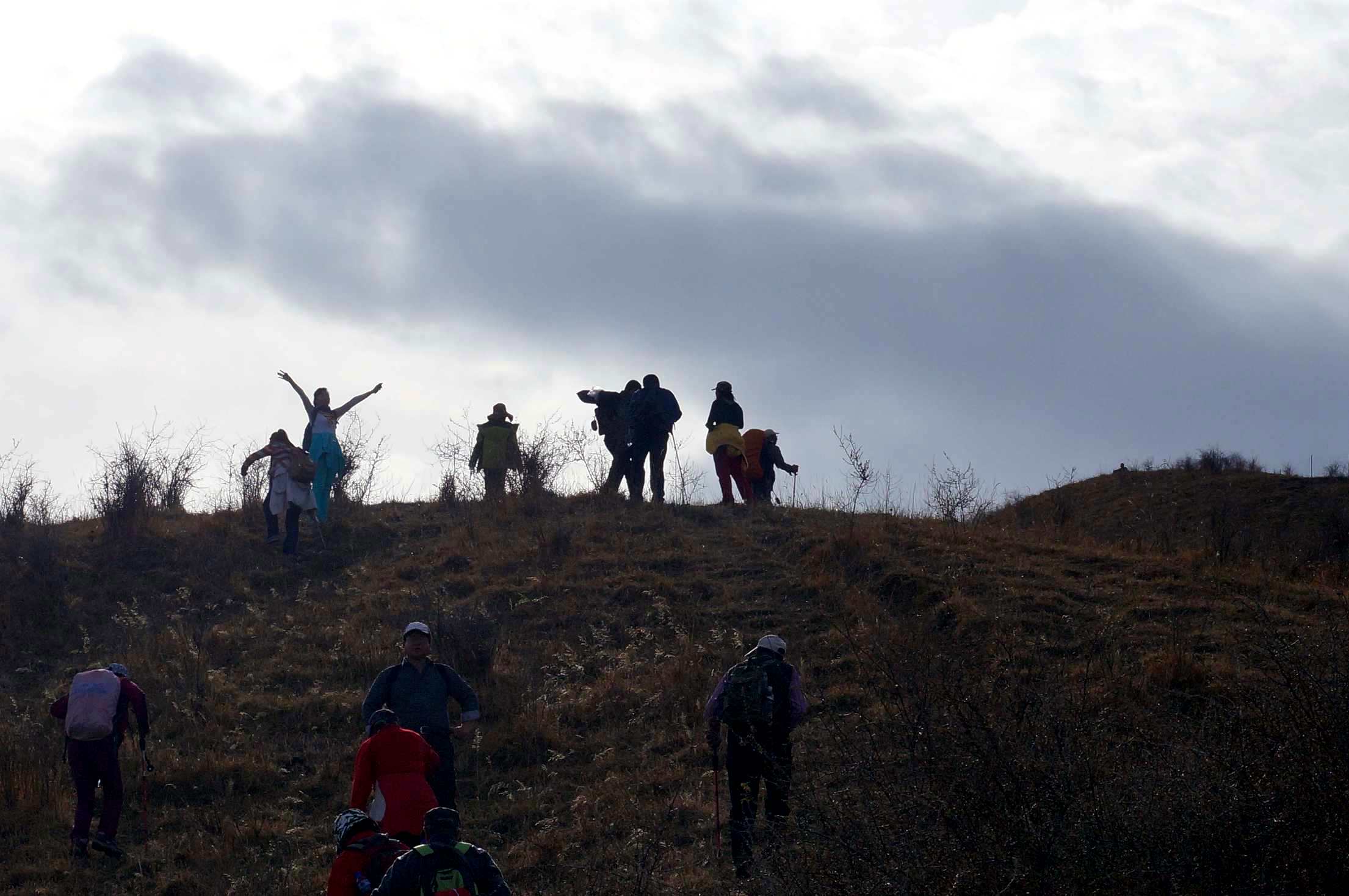 DSC01177 ����_����_����.jpg