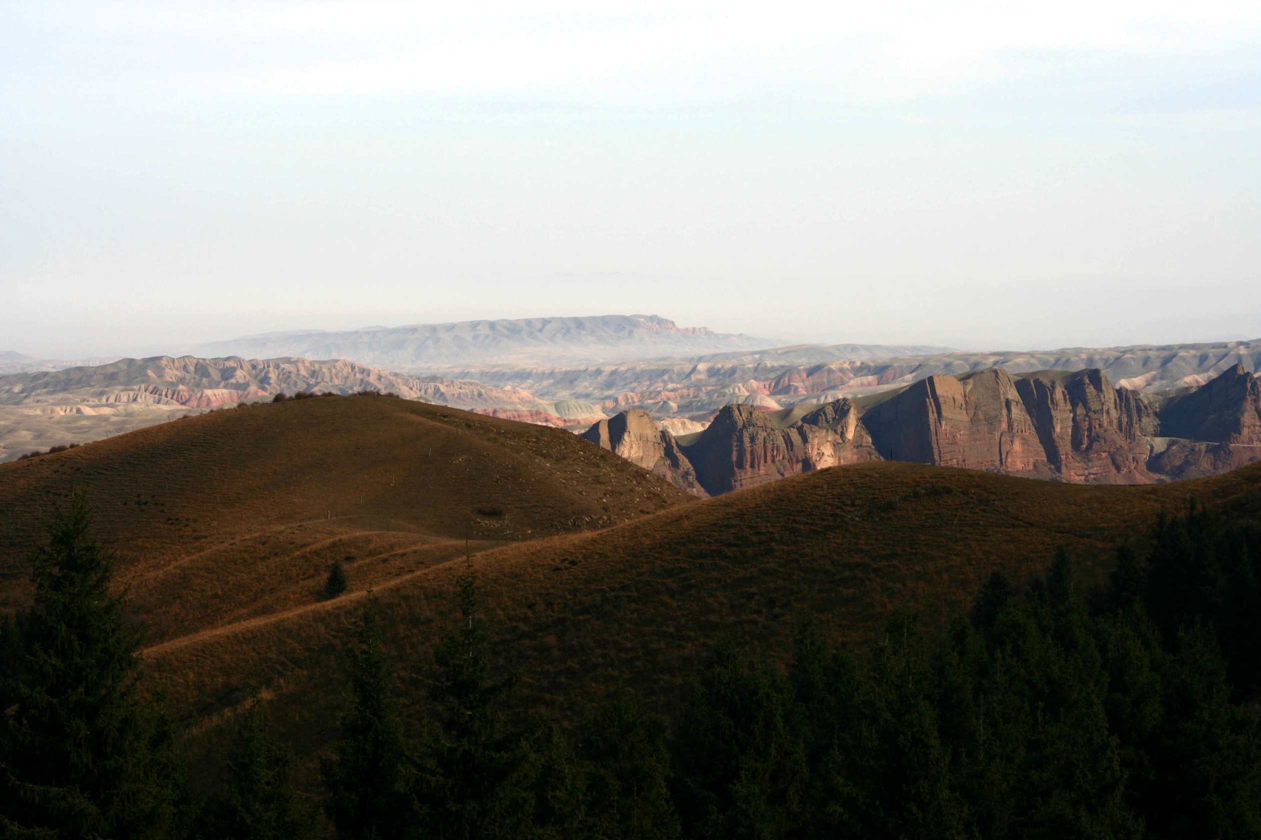 IMG_1421 ����_����.jpg