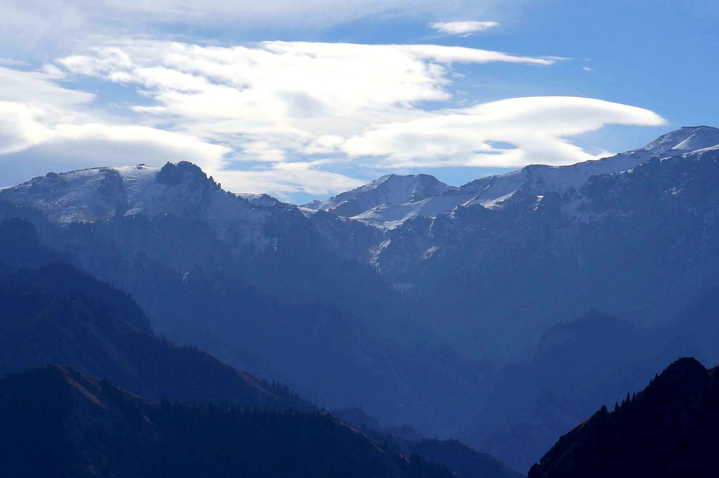 DSC01179 ����_����_����.jpg