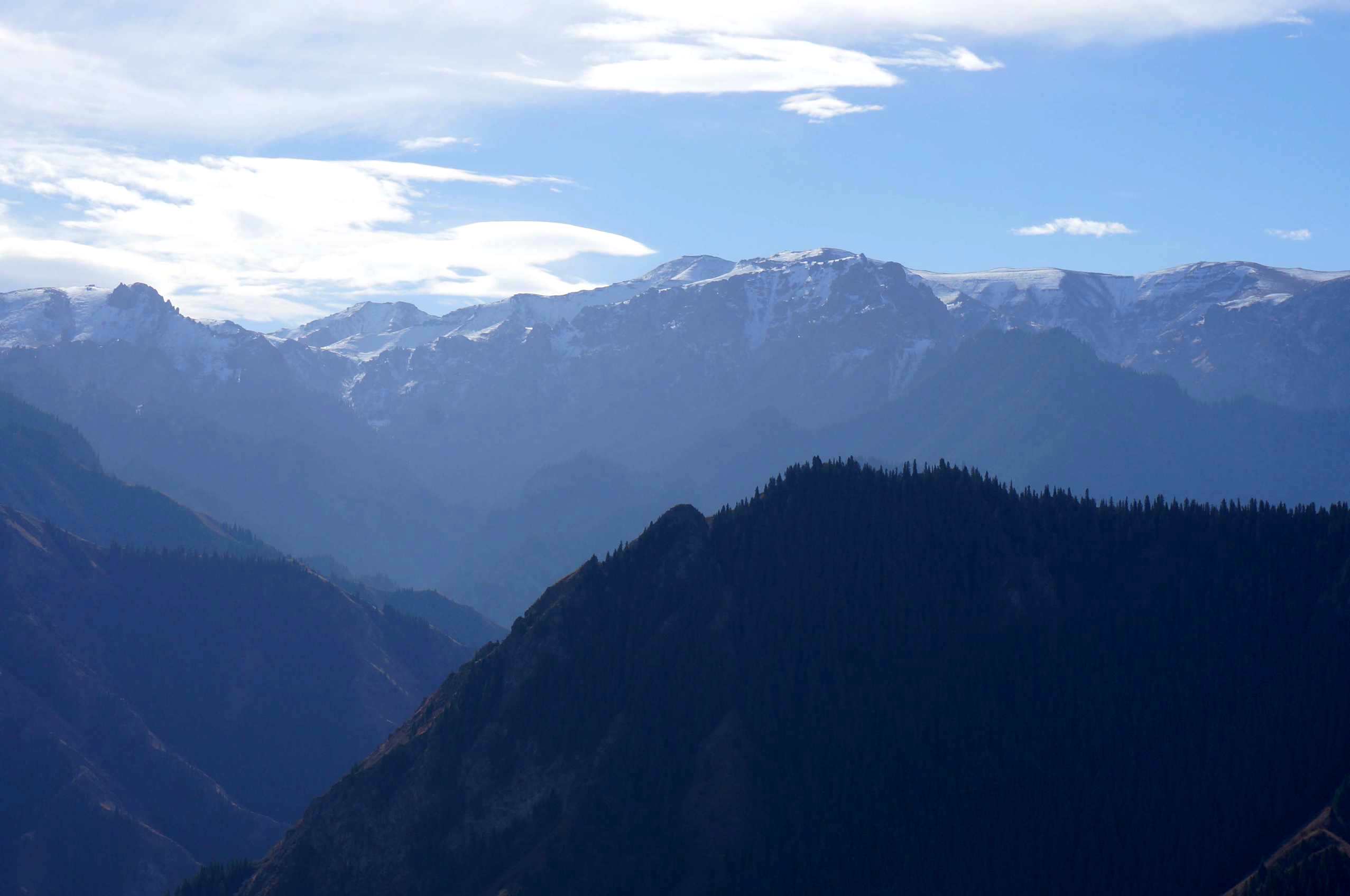 DSC01181 ����_����_����.jpg