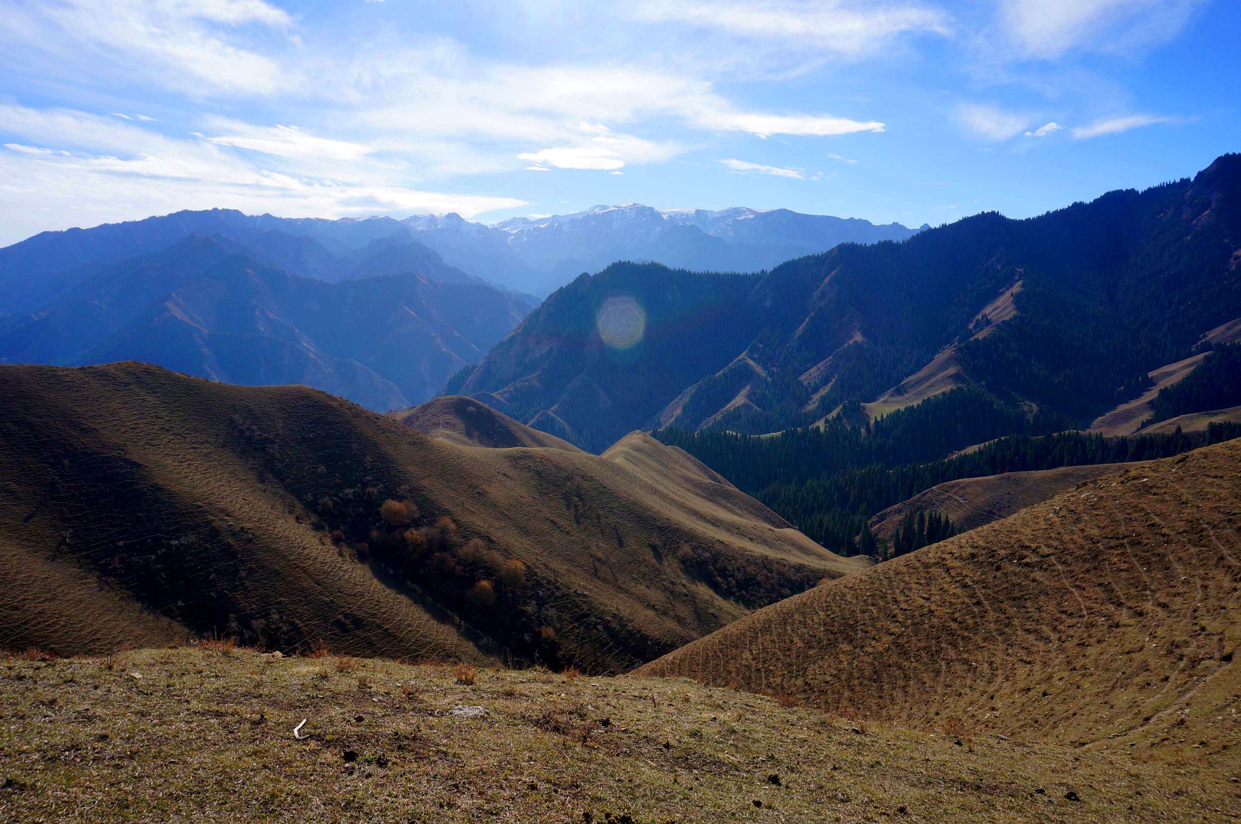 DSC01183 ����_����_����.jpg