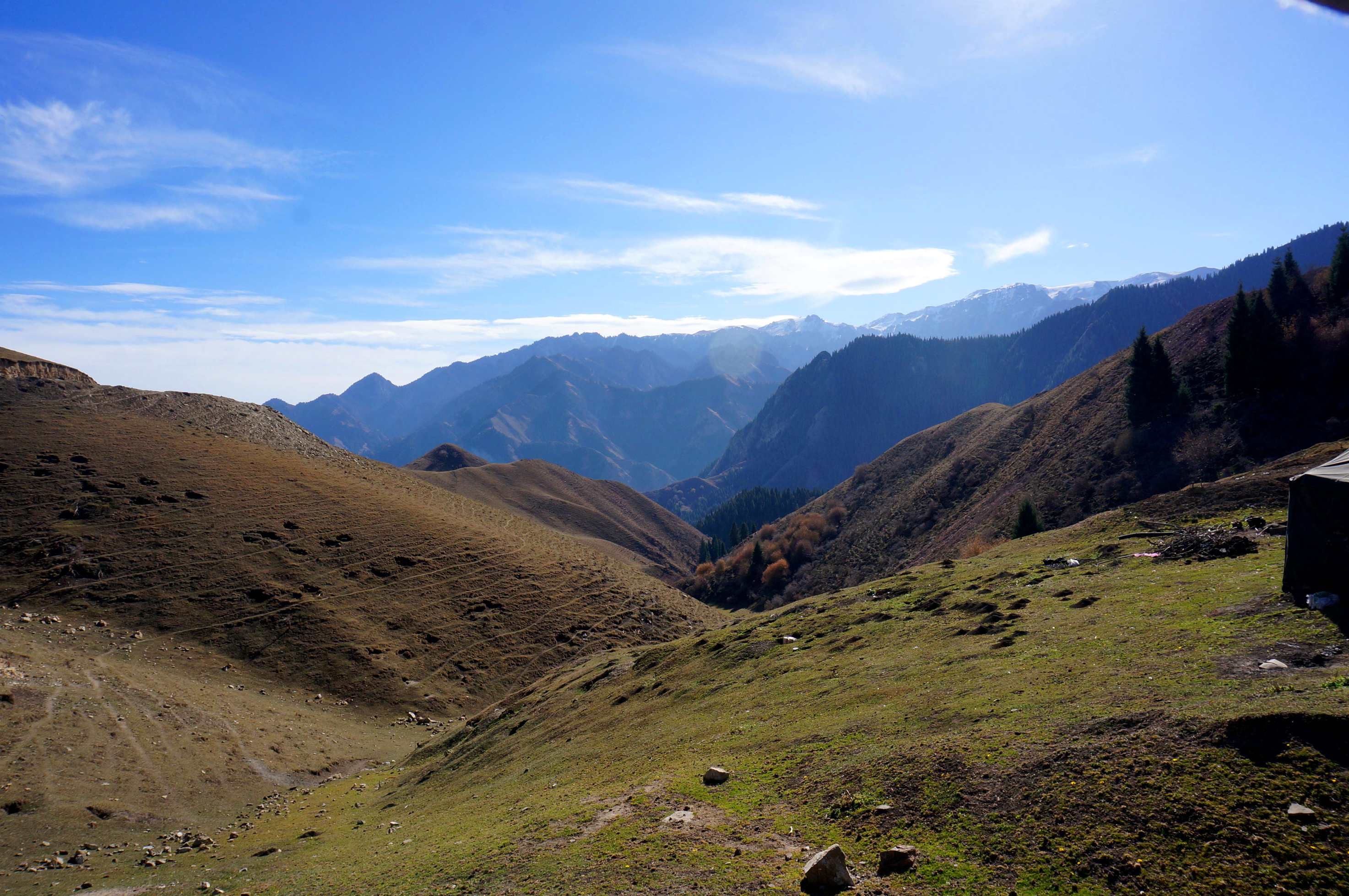 DSC01191 ����_����.jpg