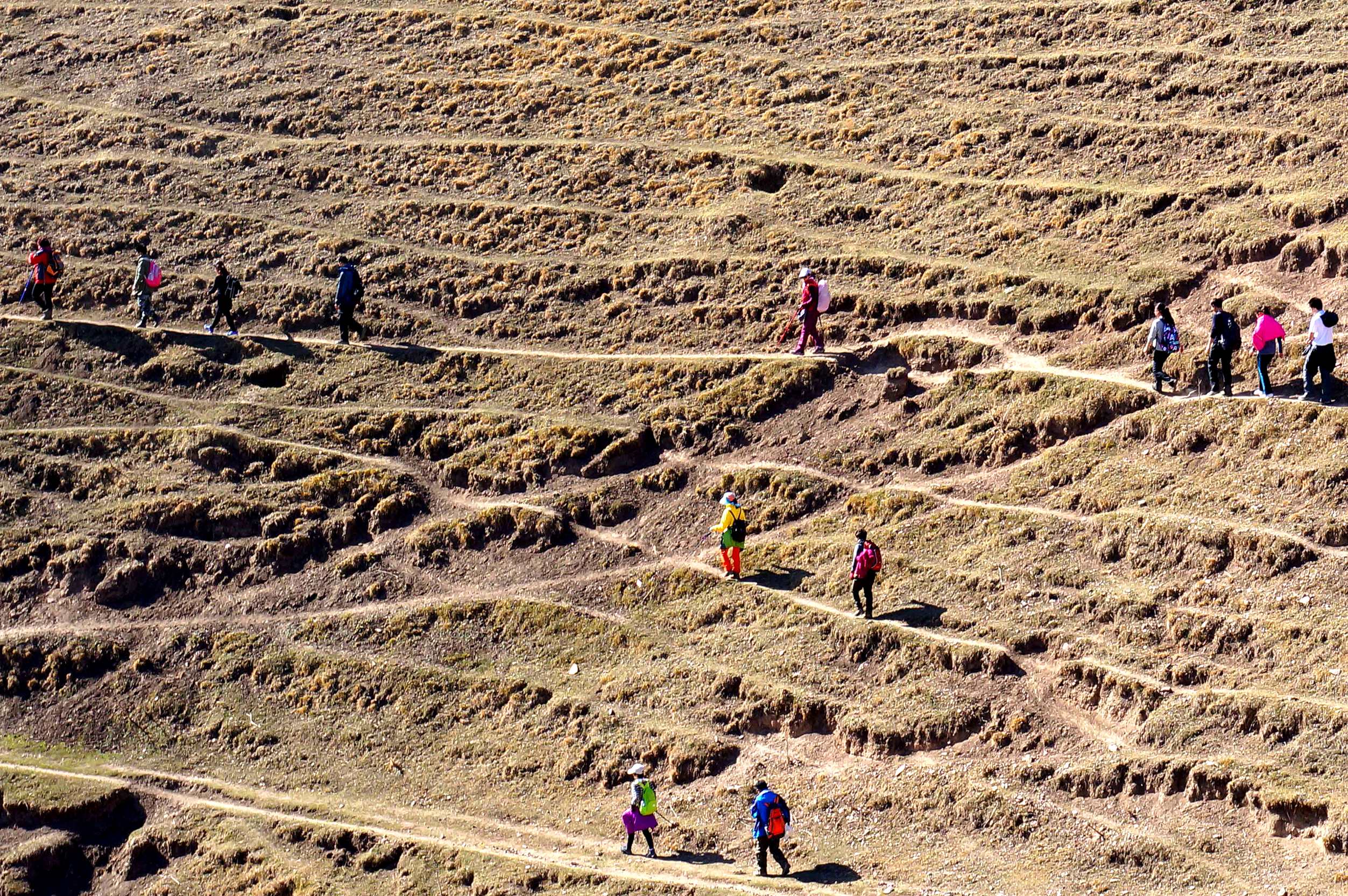 DSC01193 ����_����.jpg