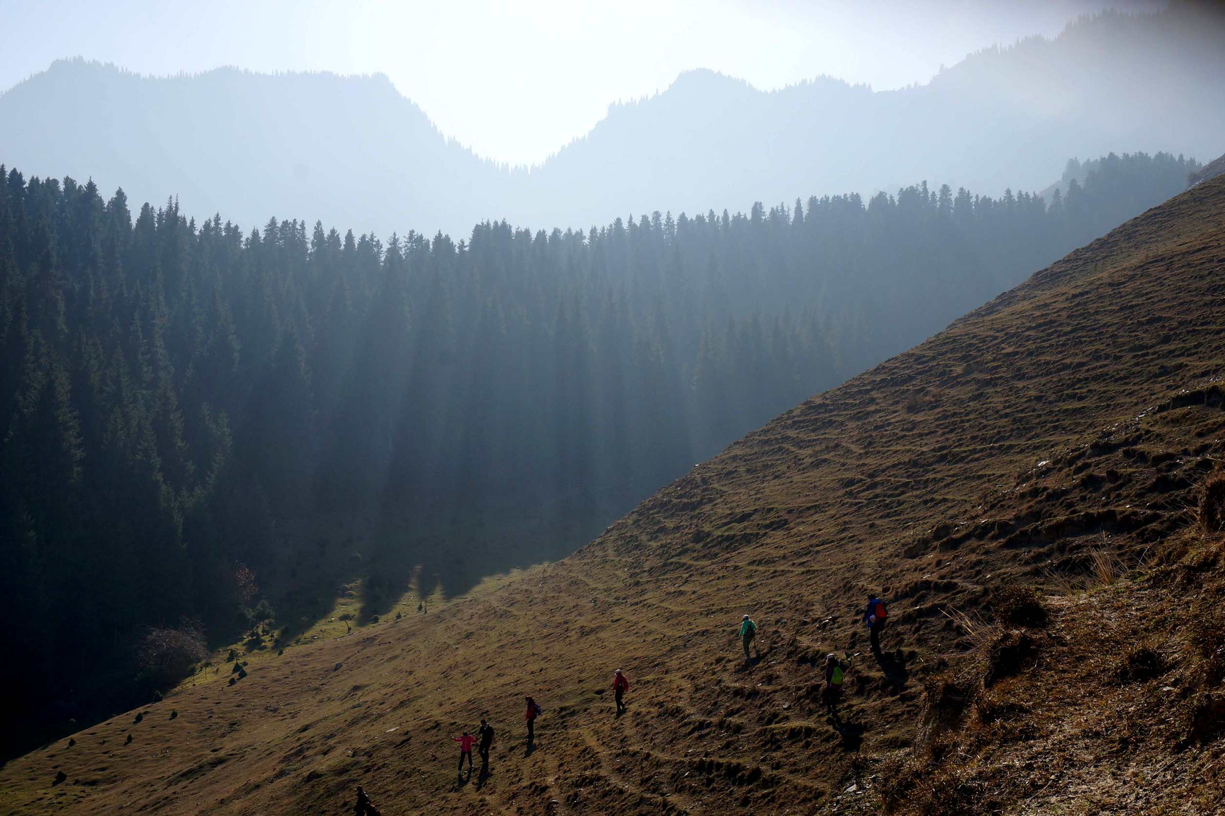 DSC01243 ����_����.jpg