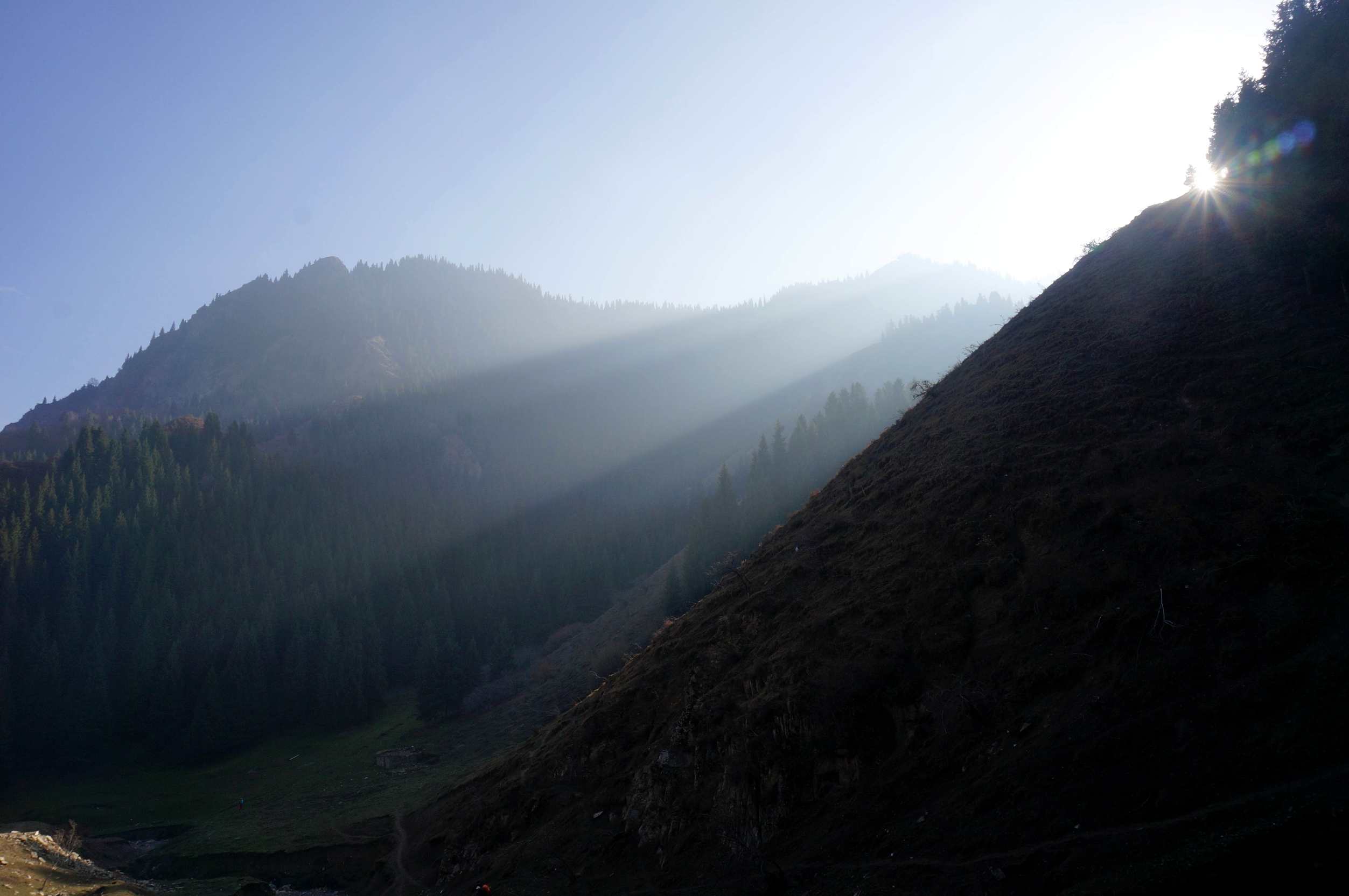 DSC01281 ����_����.jpg