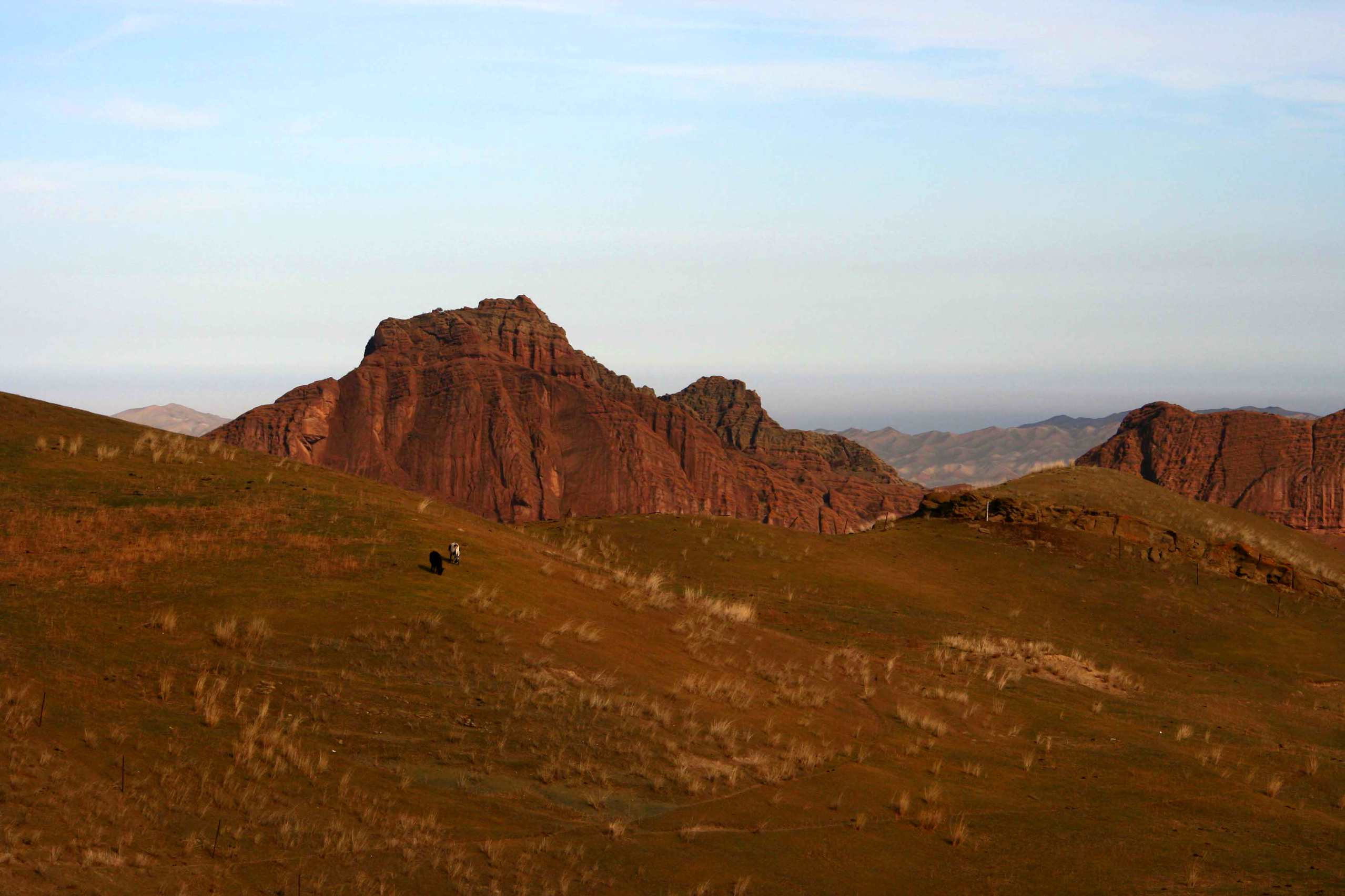 IMG_1383 ����_����.jpg