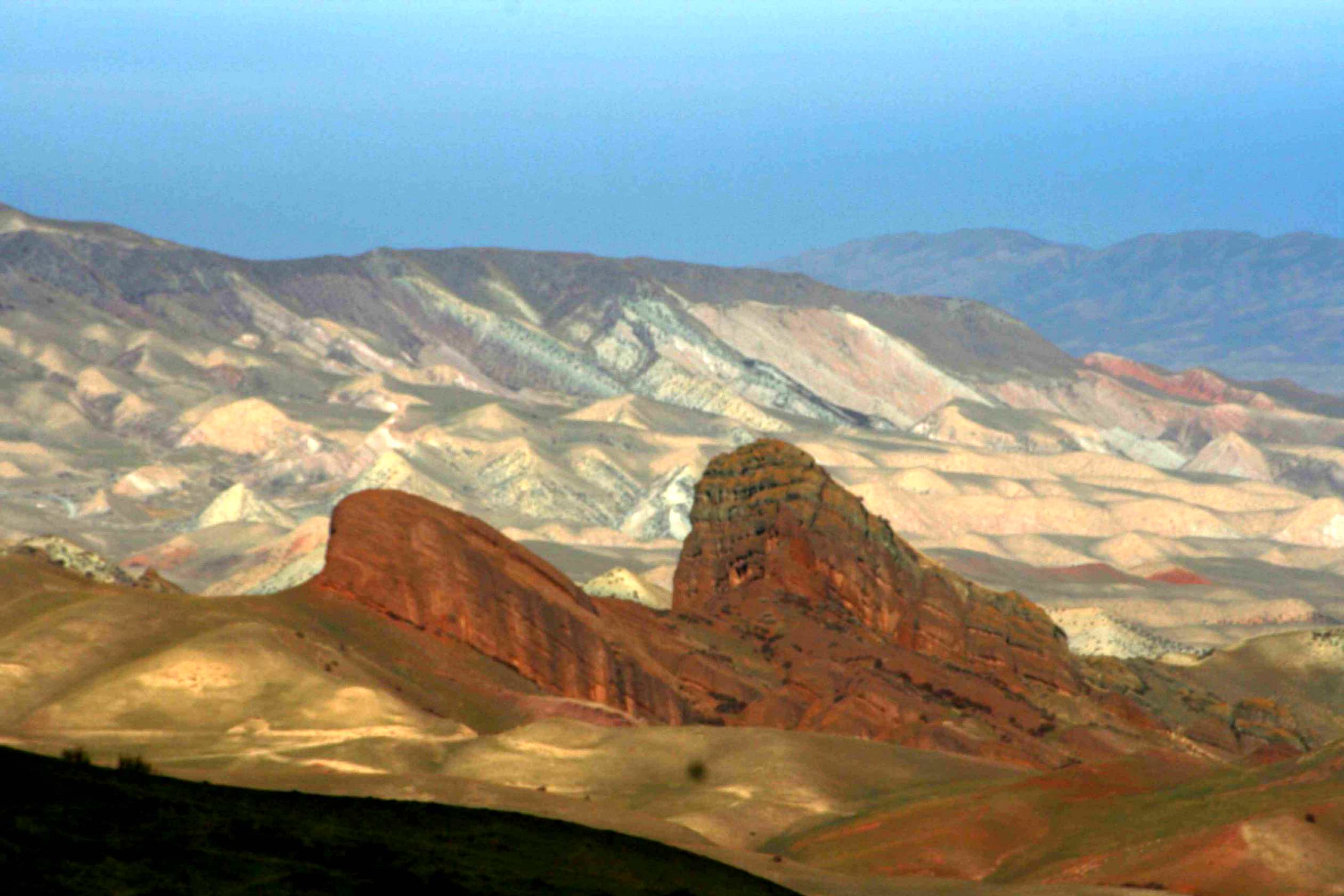 IMG_1398 ����_����.jpg