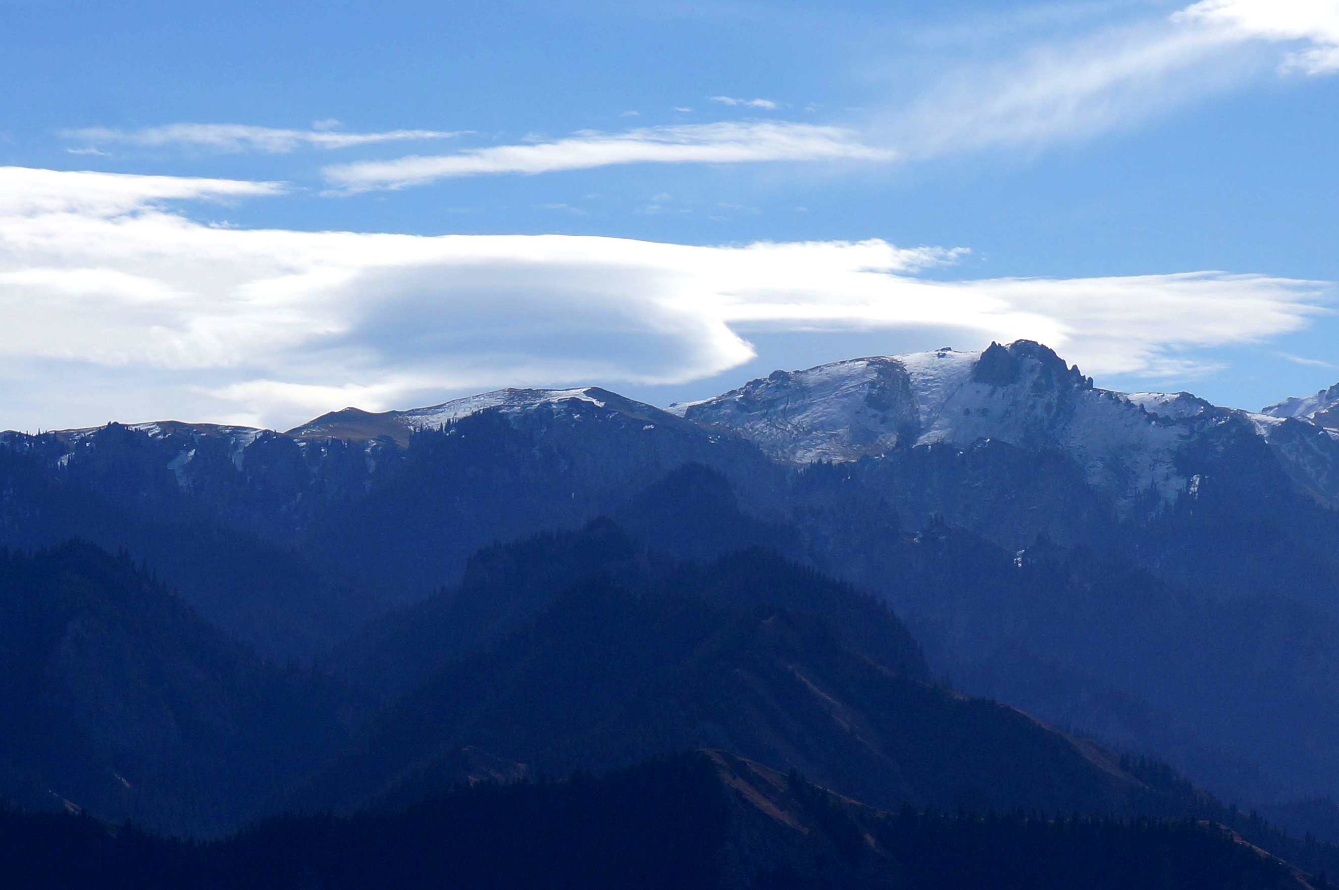 DSC01185 ����_����.jpg