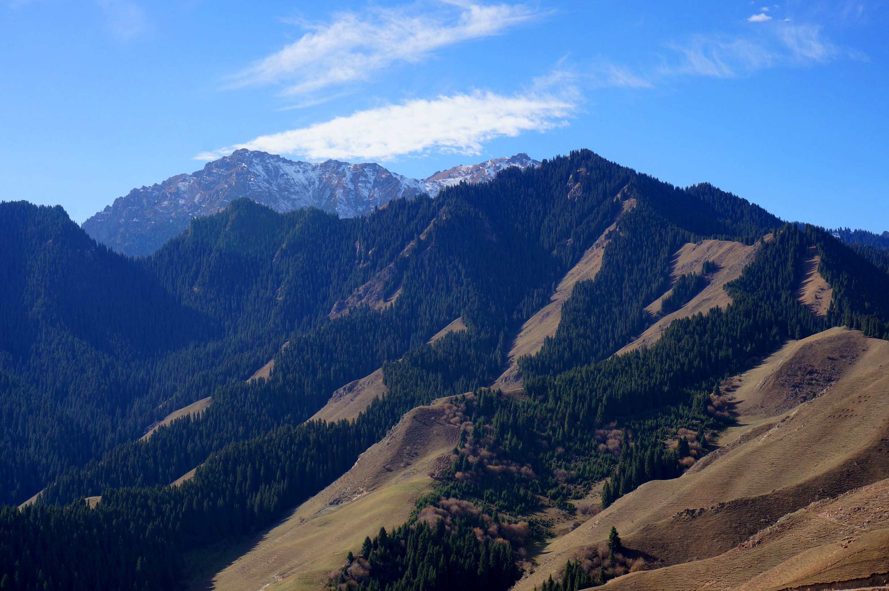 DSC01189 ����_����.jpg