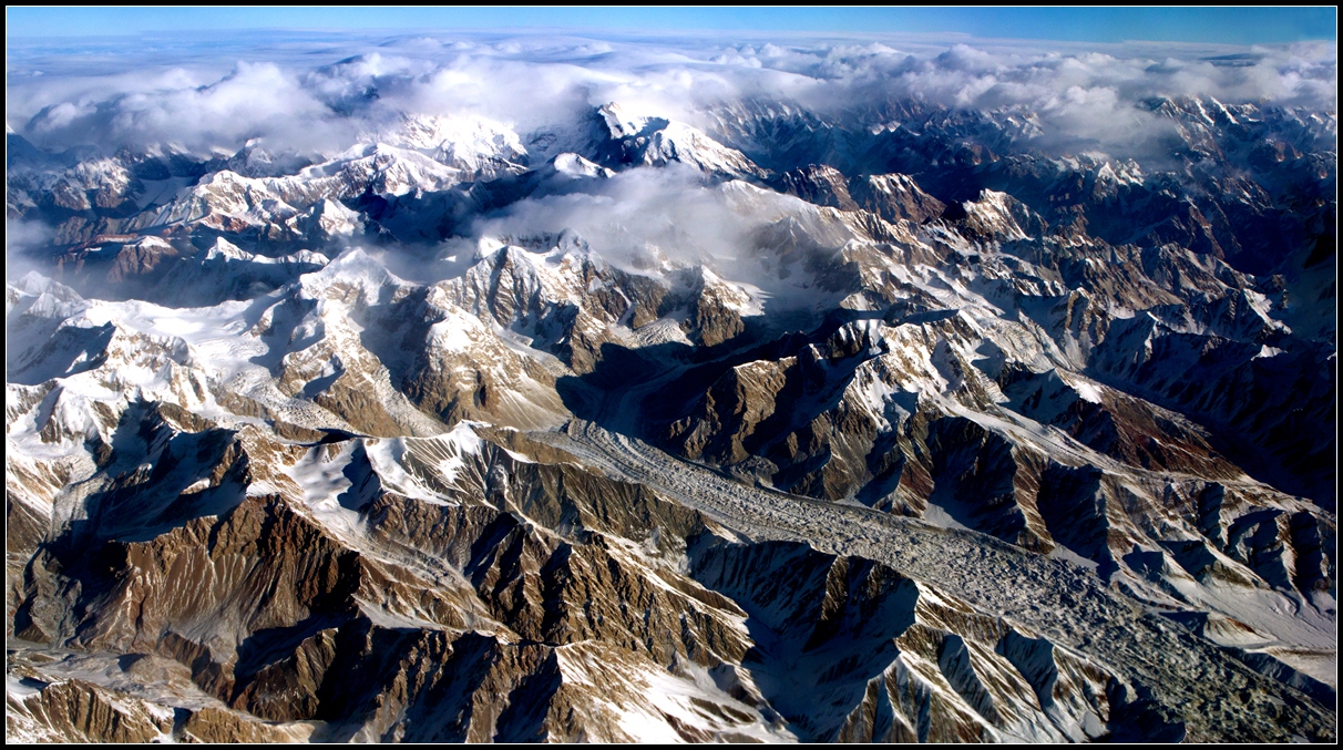 ��ľ�������