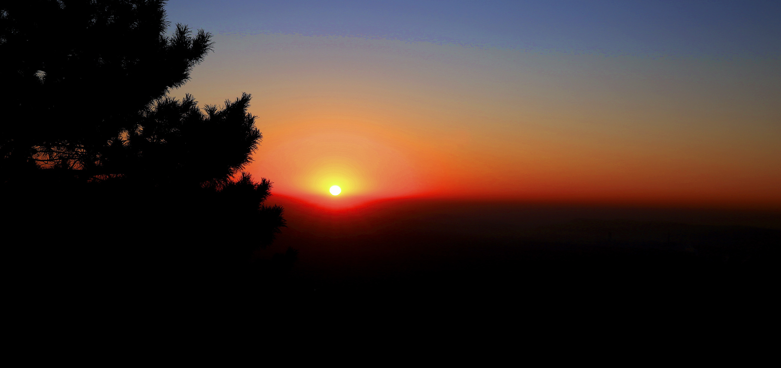 2015.1.1���� 079_��������.jpg