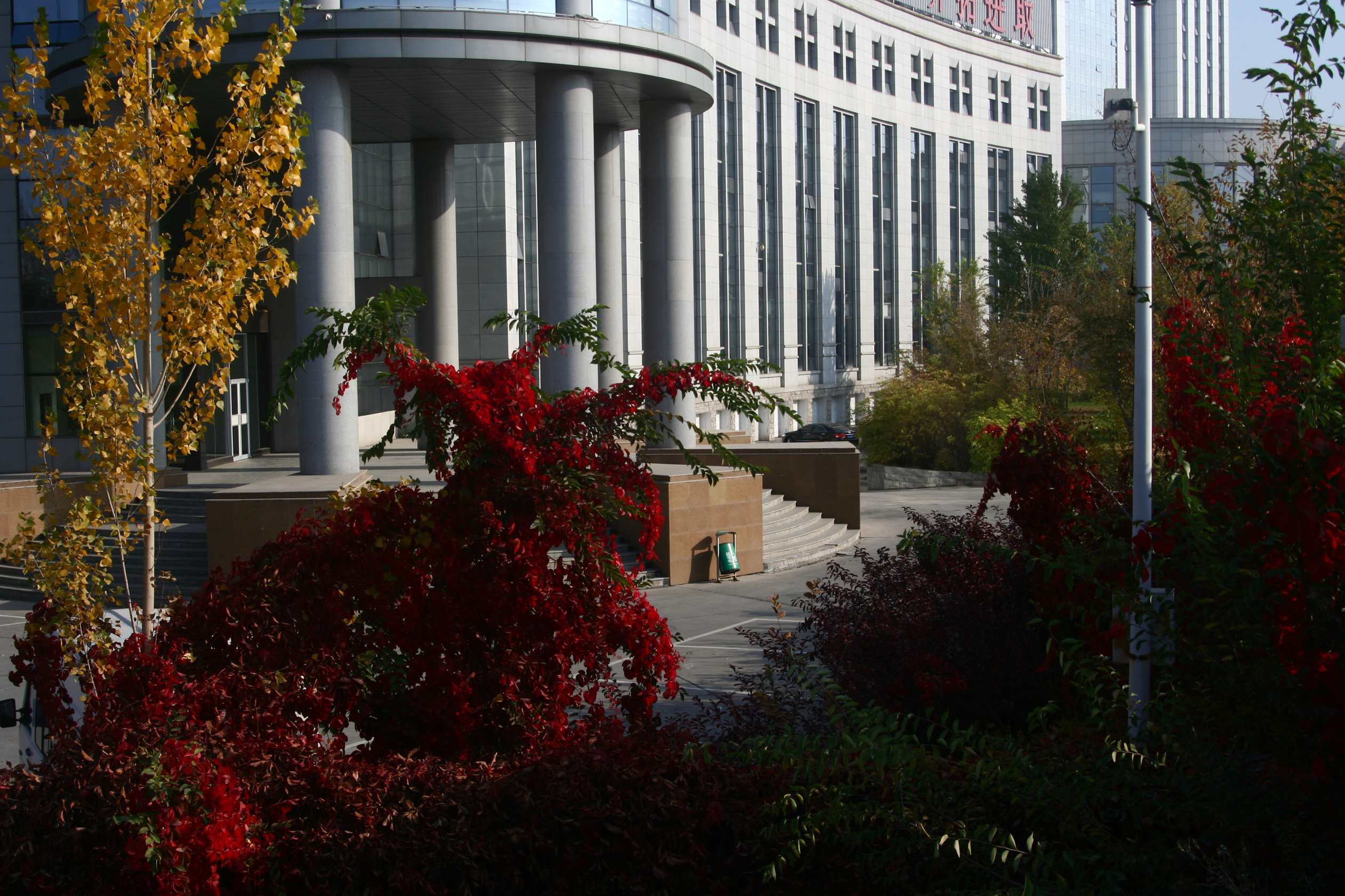 ��Ƭ 038_����.jpg