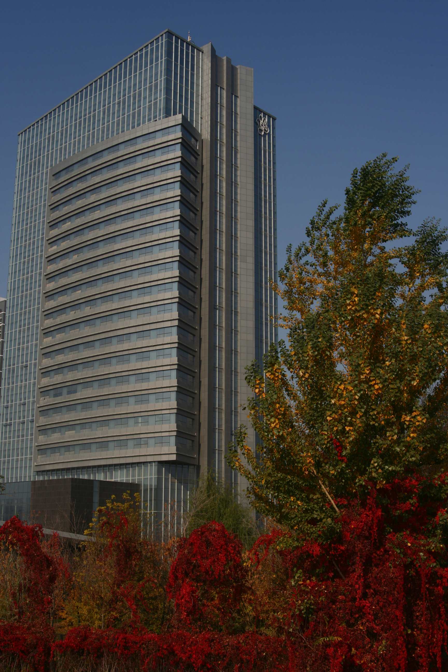 ��Ƭ 081_����.jpg