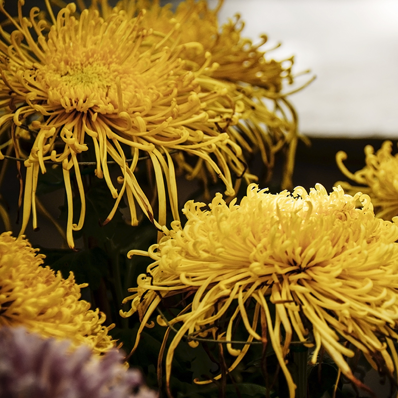 2014��12��13��̨�� a1561.jpg