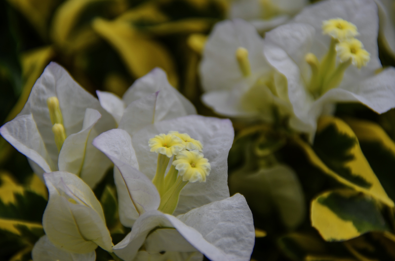 2014��12��13��̨�� A7421.jpg