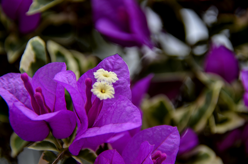 2014��12��13��̨�� a7411.jpg