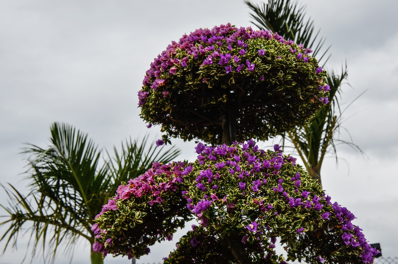 2014��12��13��̨��a 7371.jpg