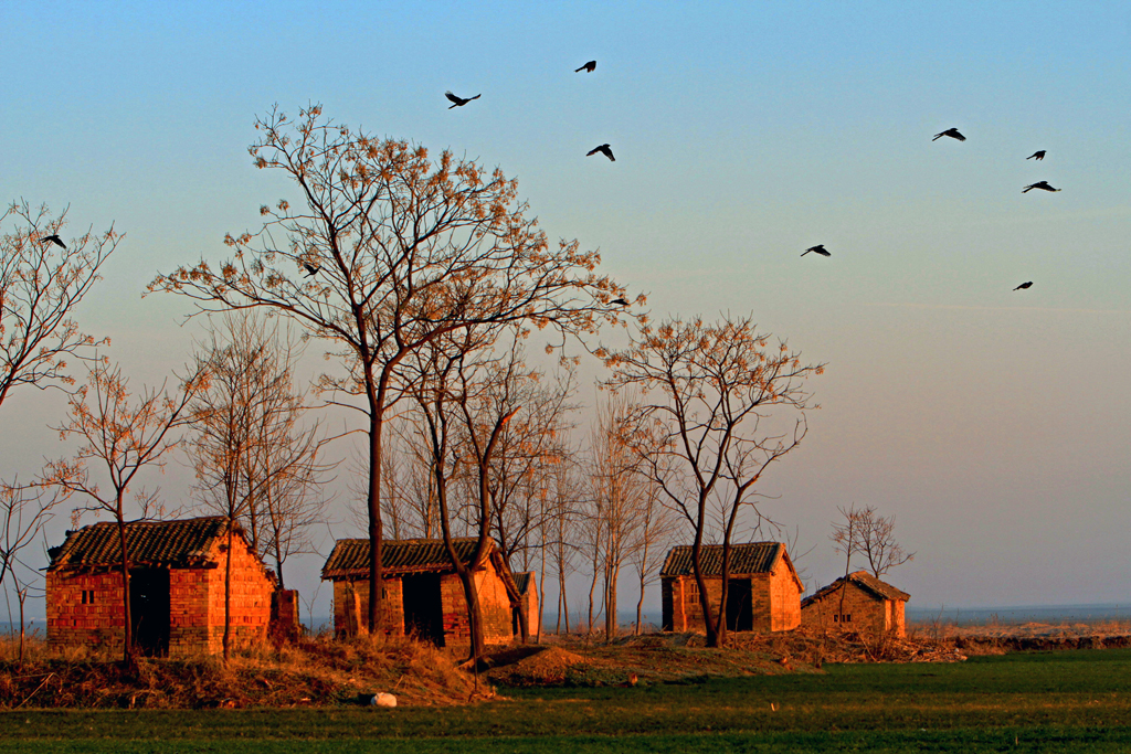 �����а�ҰȤ�� ����ů����ȵ�� ������������˻ �������ݲо���.jpg