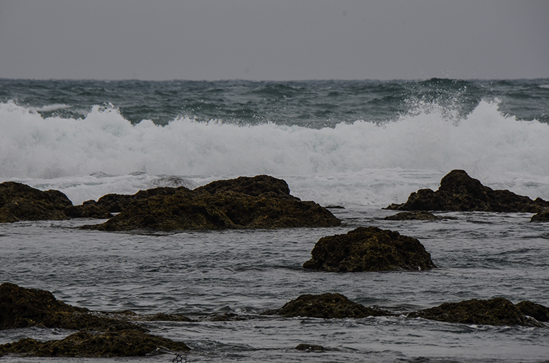 2014��12��13��̨�� a7461.jpg