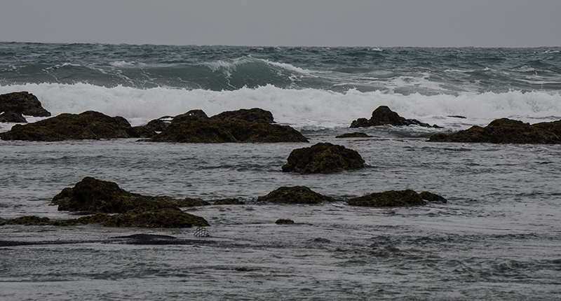 2014��12��13��̨�� a7471.jpg