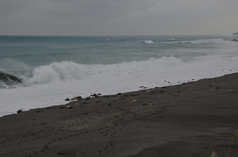 2014��12��13��̨�� a8371.jpg