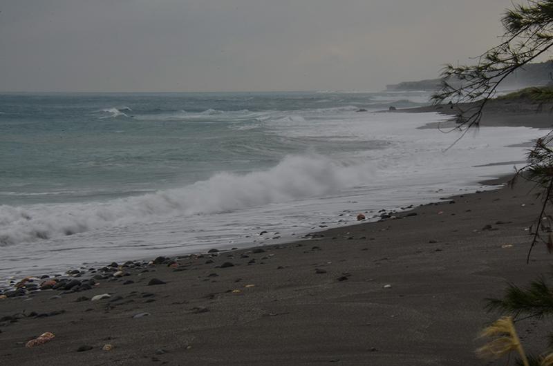 2014��12��13��̨�� a8411.jpg