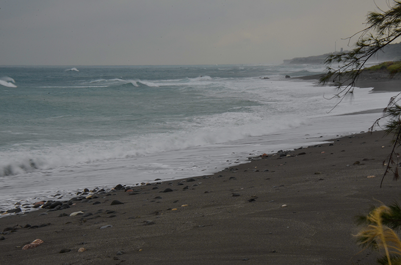 2014��12��13��̨�� a8421.jpg