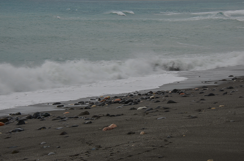 2014��12��13��̨�� a8491.jpg