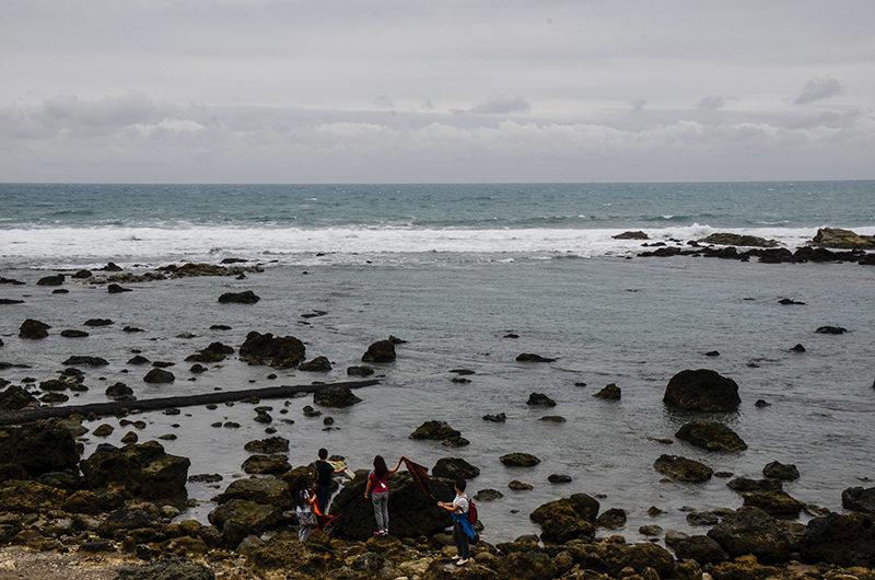 2014��12��13��̨�� a8121.jpg