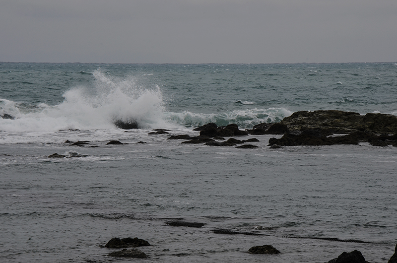 2014��12��13��̨�� a8131.jpg