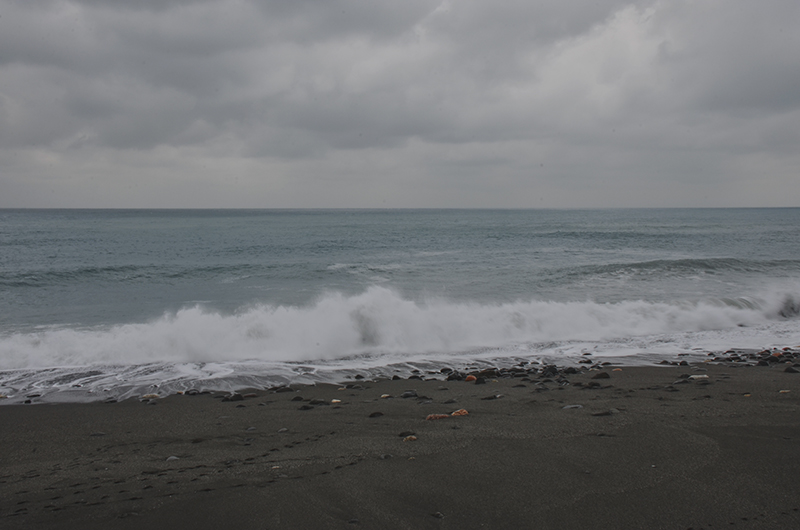 2014��12��13��̨�� a8191.jpg