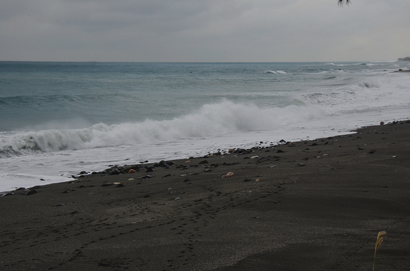 2014��12��13��̨�� a8341.jpg