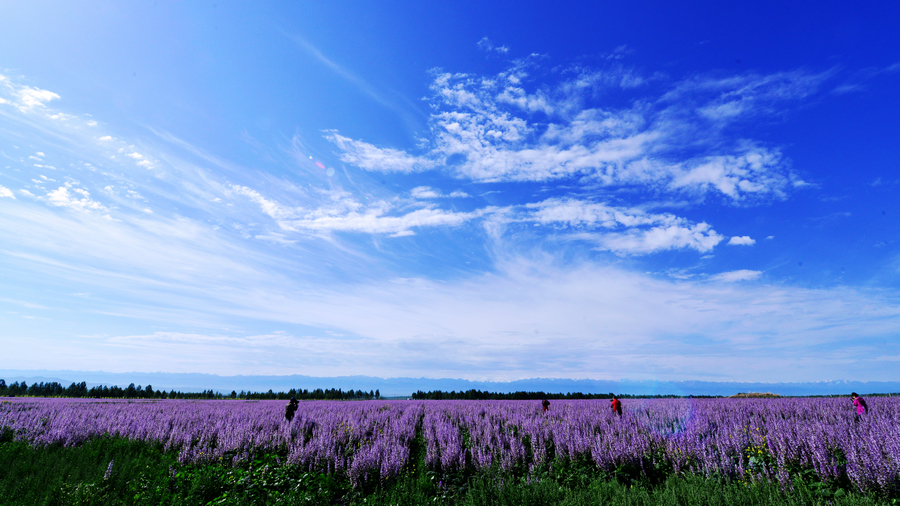 nEO_IMG__DSC5334 - ����.jpg