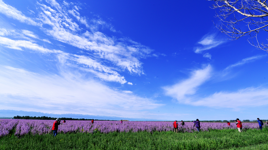 nEO_IMG__DSC5335 - ����.jpg