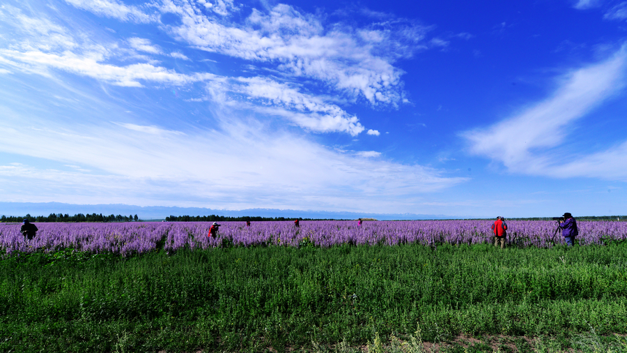 nEO_IMG__DSC5336 - ����.jpg