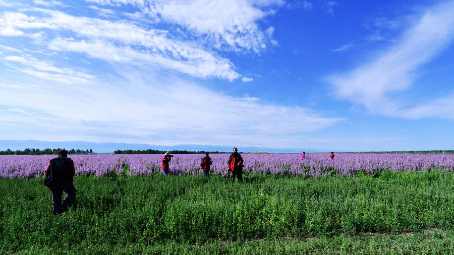 nEO_IMG__DSC5337 - ����.jpg