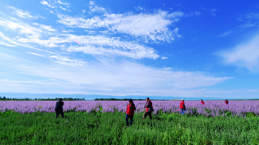 nEO_IMG__DSC5338 - ����.jpg