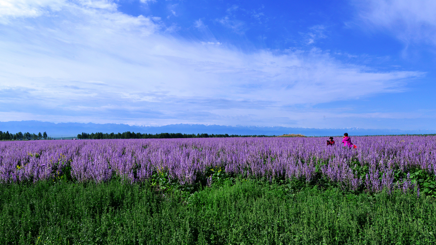 nEO_IMG__DSC5339 - ����.jpg