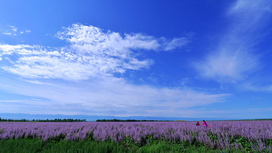 nEO_IMG__DSC5340 - ����.jpg