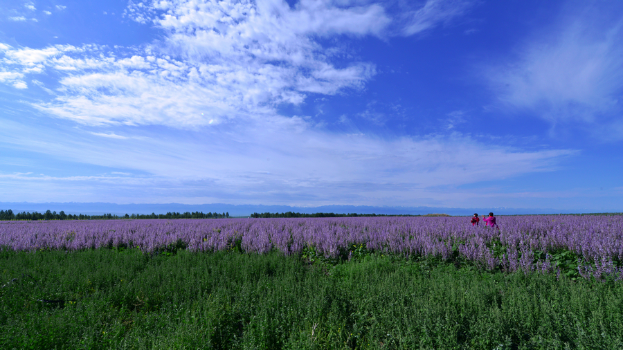 nEO_IMG__DSC5341 - ����.jpg