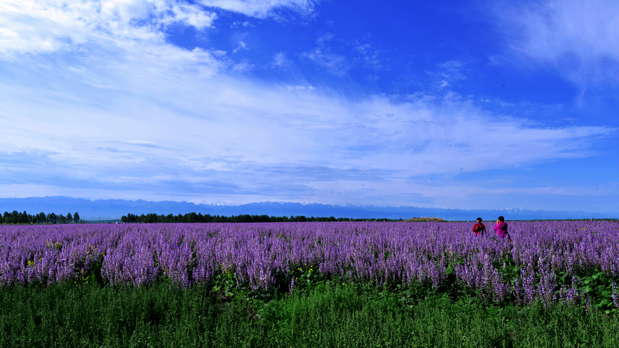 nEO_IMG__DSC5342 - ����.jpg