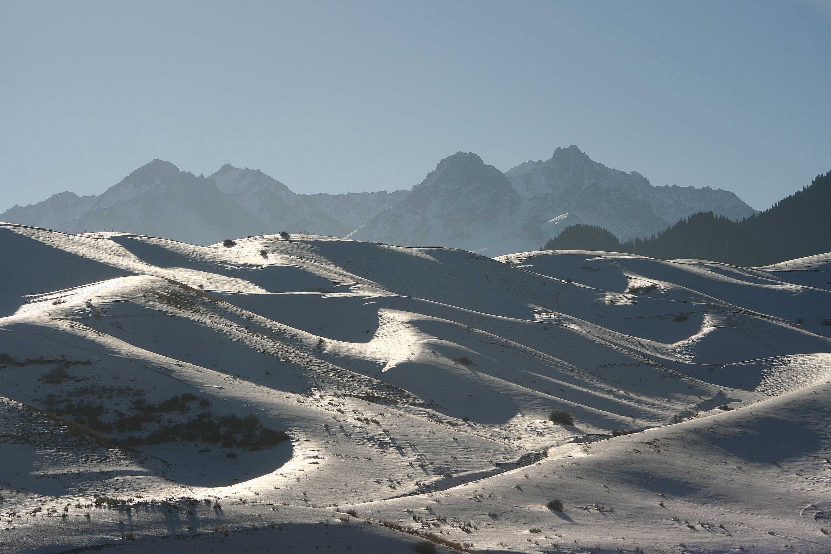 ��Ƭ 155_����.jpg