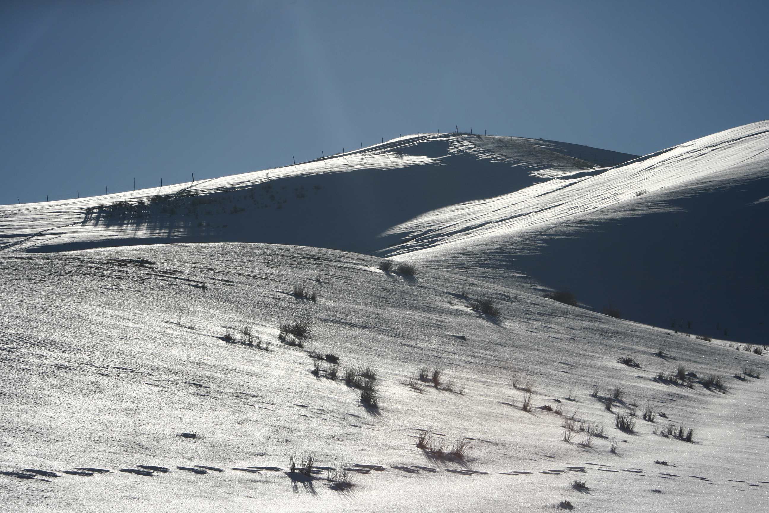 ��Ƭ 165_����.jpg