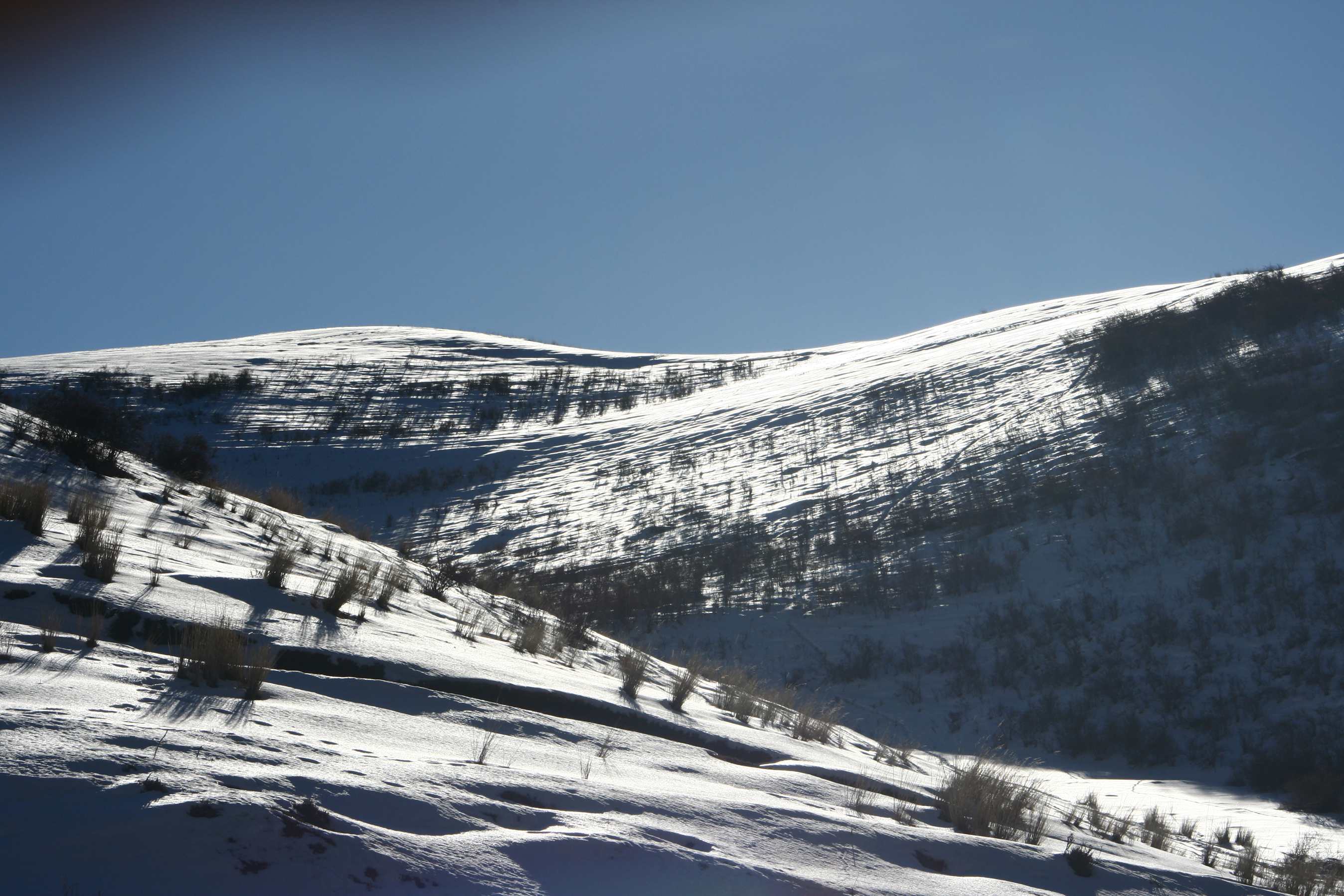 ��Ƭ 194_����.jpg