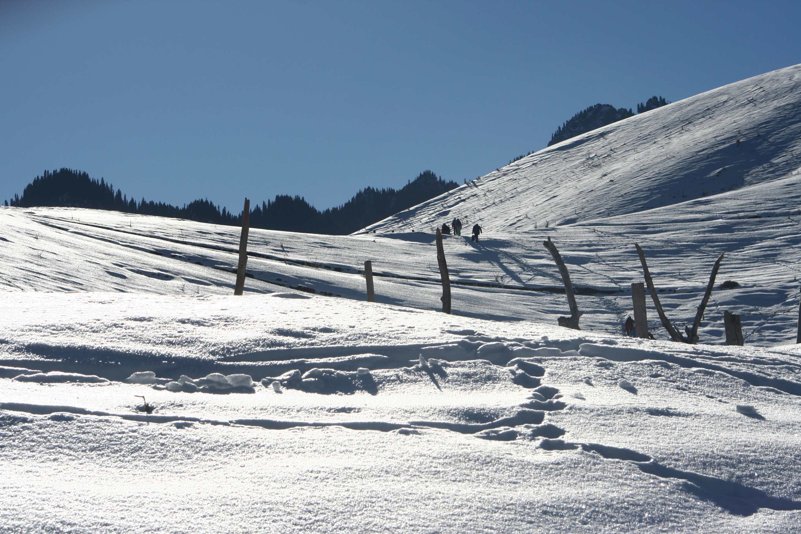 ��Ƭ 197_����.jpg